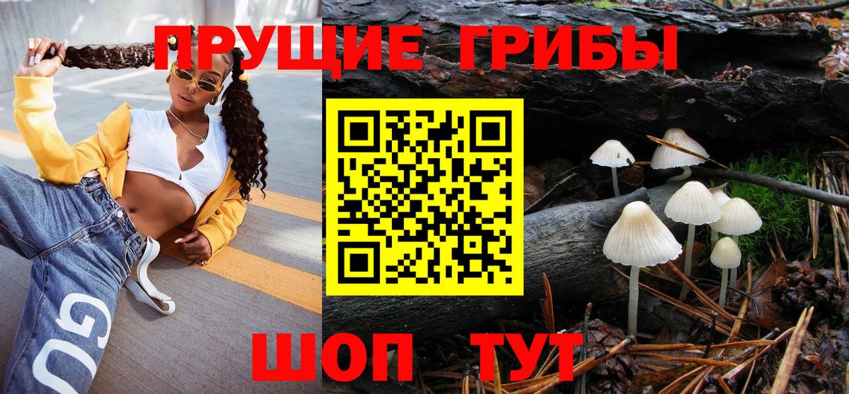 Псилоцибиновые грибы мицелий Нягань