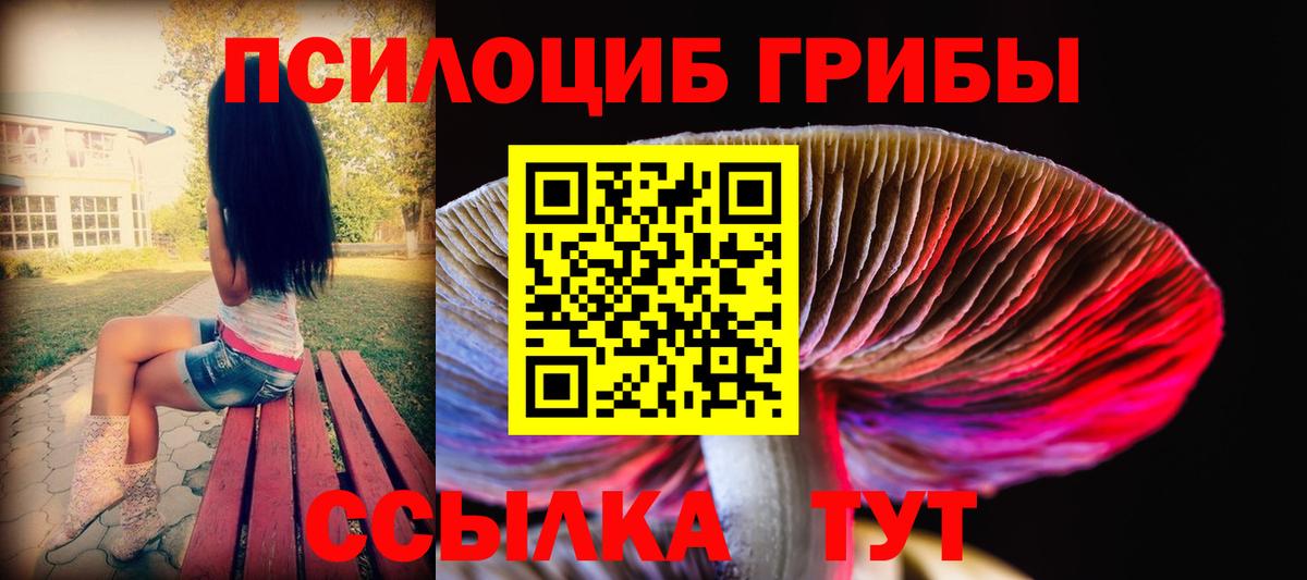 Нягань  Галлюциногенные грибы Psilocybine cubensis  Вход с VPN 